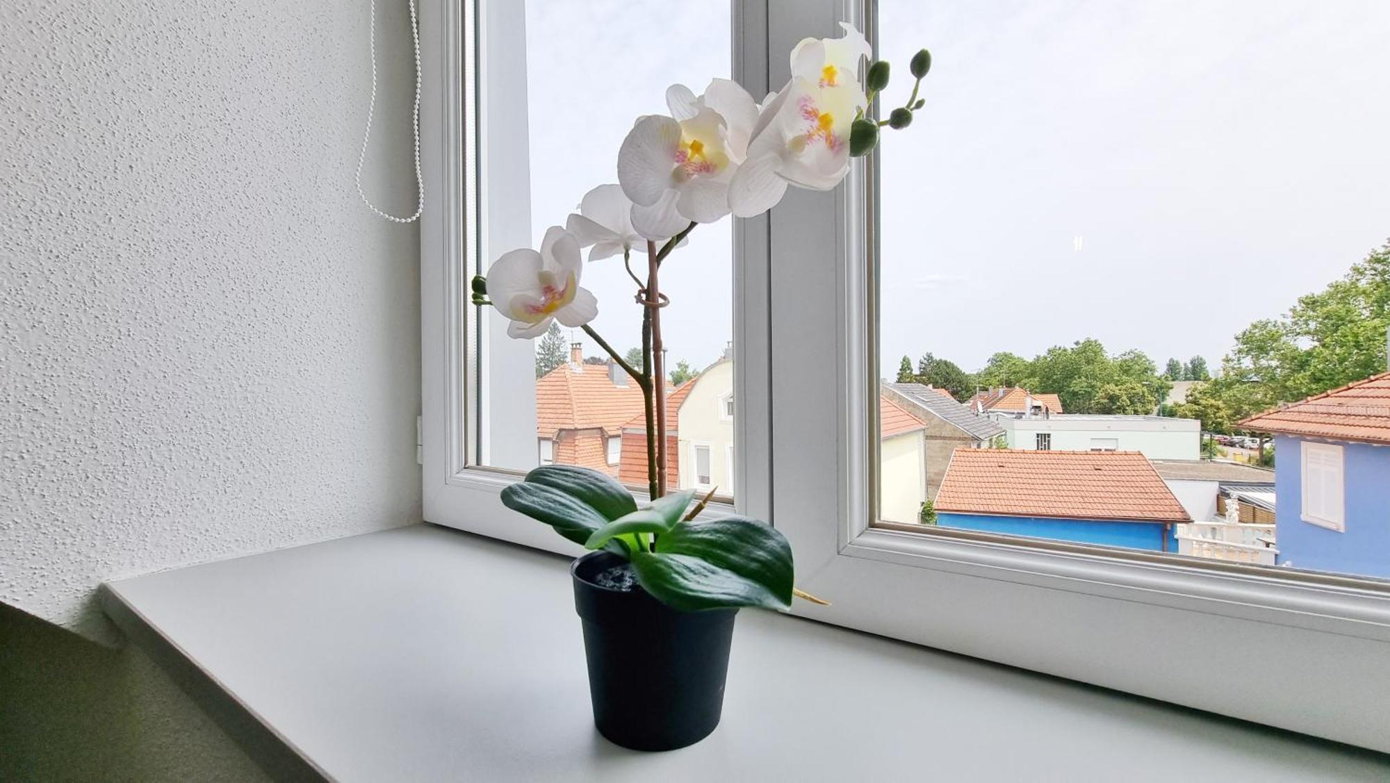 Le Triplex - 5 Chambres - 10 Pers- Fibre - Relax Bnb Мюлуз Екстериор снимка